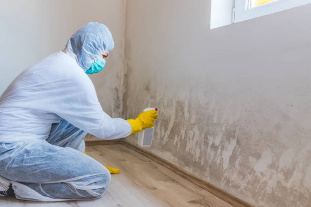 Licensed Mold Testing service in Fort Washington, PA - WQB Mold Removal