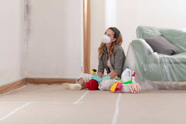 Reliable Mold Testing contractor in Fort Washington, PA by WQB Mold Removal