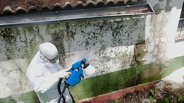 Top rated local Mold Testing specialists in Fort Washington, PA